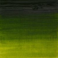 Winsor & Newton Artists Oil Colours - Sap Green