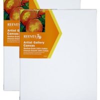 Reeves Stretch Canvas