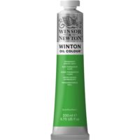 Winsor & Newton Winton Oil Color - Permanent Green Light