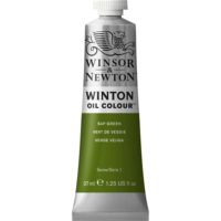 Winsor & Newton Winton Oil Color - Sap Green