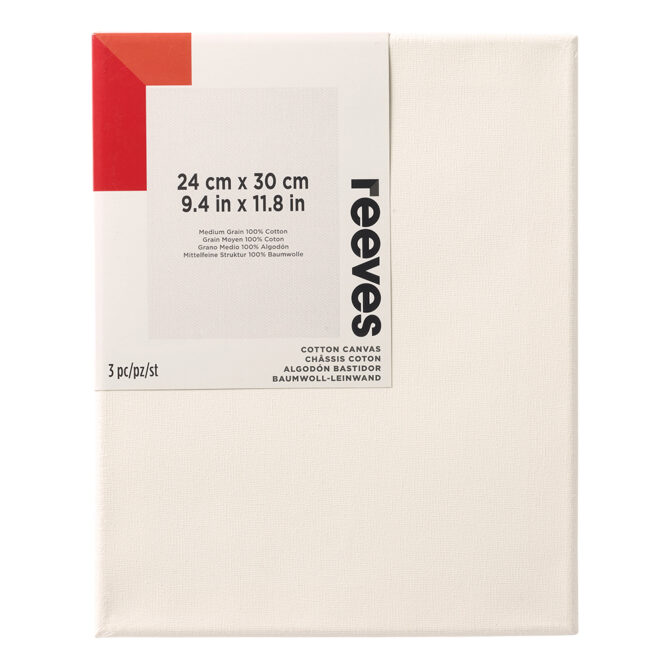 Reeves Stretched Canvas, 2PK - 12x16 inches