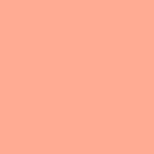 Liquitex Acrylic Marker Light Pink
