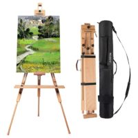 MEEDEN Tripod Field Painting Easel with Carrying Case