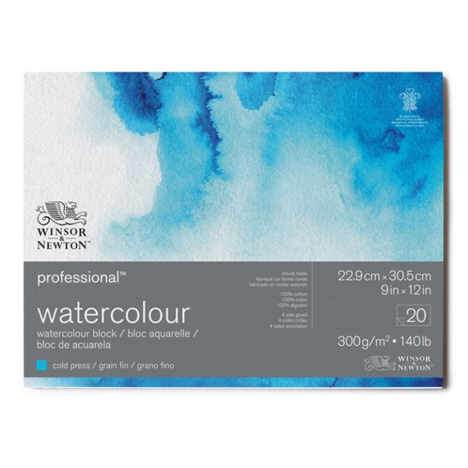 Winsor & Newton Professional Watercolor Paper Cold Press